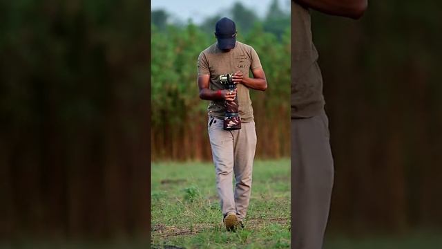 This music 🤣 #nif #natureinfocus #travel #bbcearth #wildlifephotography #indianwildlife #nikonD500 смотреть онлайн