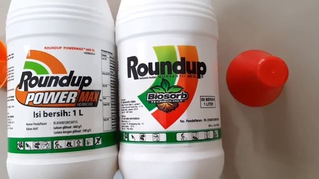 PERBEDAAN ROUNDUP POWER MAX 660 SL DENGAN ROUNDUP BIOSORB 486 SL смотреть онлайн