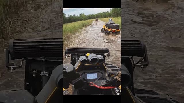 По морям по морям, желтый квадрик едет к вам #квадроциклы #atv #brp смотреть онлайн