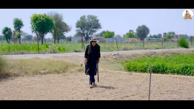 लादू की भायली || Rajasthani Short Film || Haryanvi & Marwadi Comedy || LADU THEKADAR