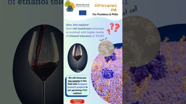 🦠Precision fermentation and cell membrane technology #microbiology #sustainability смотреть онлайн