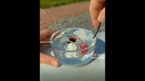 Истории со слаймами из лайка|#1