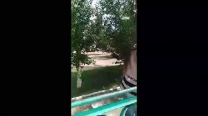 Клип ]♥♥ПАЛАВИНА МОЯ♥♥