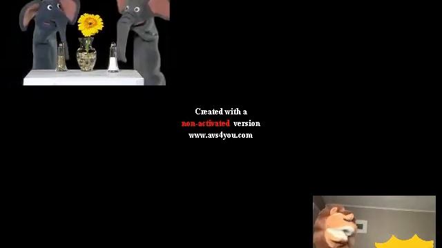 The Army of Baby Einstein Sneezing Videos смотреть онлайн