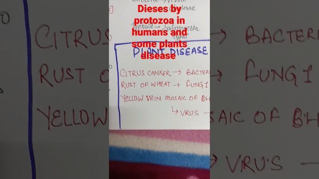 protozoan disease in humans and some plants diseases #ctet crux # NCERT based#Himanshisinghinspired смотреть онлайн