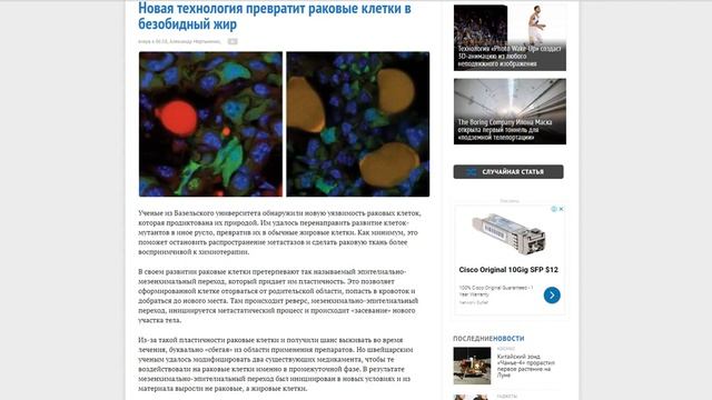 Новая технология превратит раковые клетки в безобидный жир смотреть онлайн