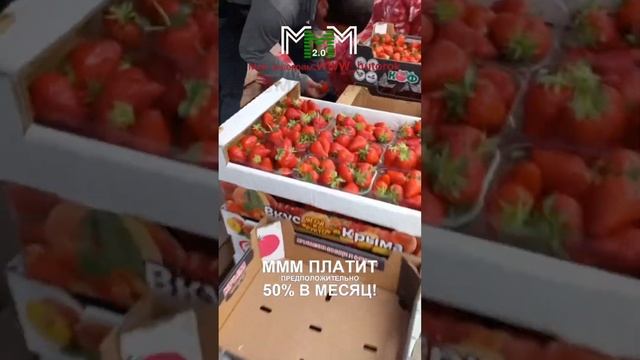Крым. Рынок Привоз. Оптовые цены от 25.04.24 смотреть онлайн