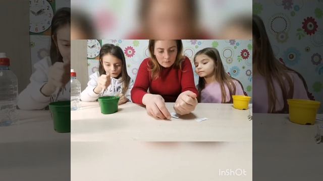 У нас началась посевная. Наш маленький эксперимент. смотреть онлайн