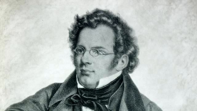 10 VARATIONS FOR PIANO - D 156 - Schubert смотреть онлайн