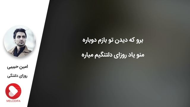 Amin Habibi - Rouzaye Deltangi (امین حبیبی - روزای دلتنگی) смотреть онлайн