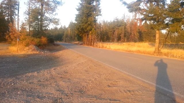 2003 zinc yellow cobra 505rwhp смотреть онлайн