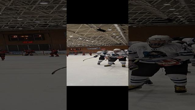 Игры в Ночной хоккейной лиге смотреть онлайн