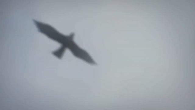 Mein Herz Brennt-Rammstein [AMV] смотреть онлайн