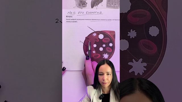 ФОРМЕННЫЕ ЭЛЕМЕНТЫ КРОВИ #умскул #биологияегэ #биология #жаннаказанская смотреть онлайн