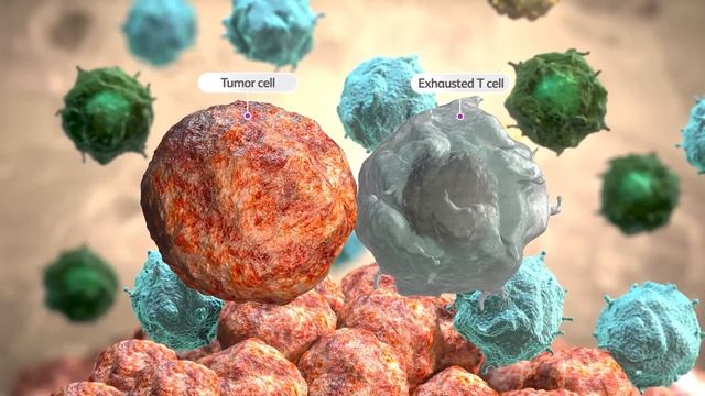 IOU Youtube: PDL-1 exploration as an IO biomarker смотреть онлайн