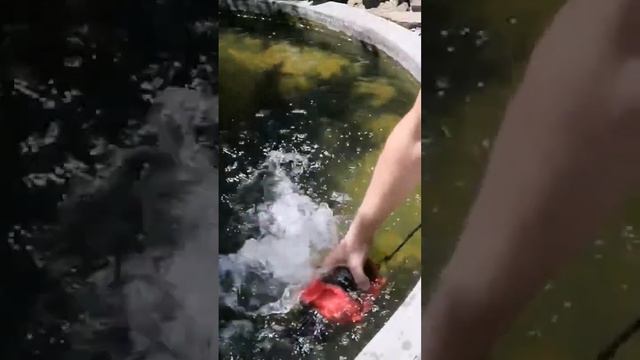 Насос для пруда смотреть онлайн
