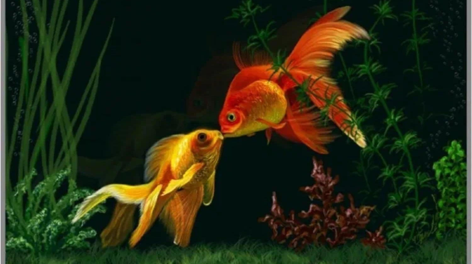 Караоке ＂Игрушка＂  Green Apelsin + мелодия