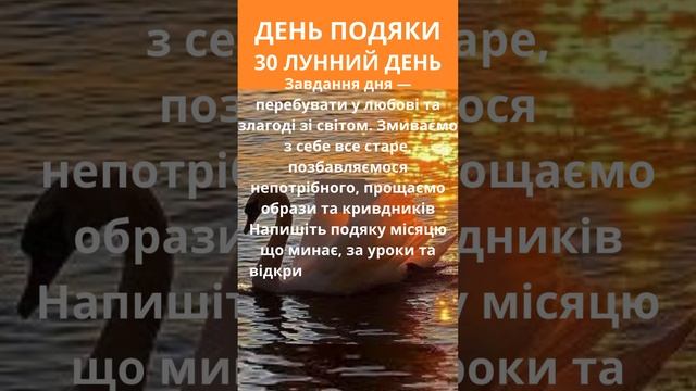 День ПОДЯКИ 30 лунний день #подяка #30луннийдень смотреть онлайн