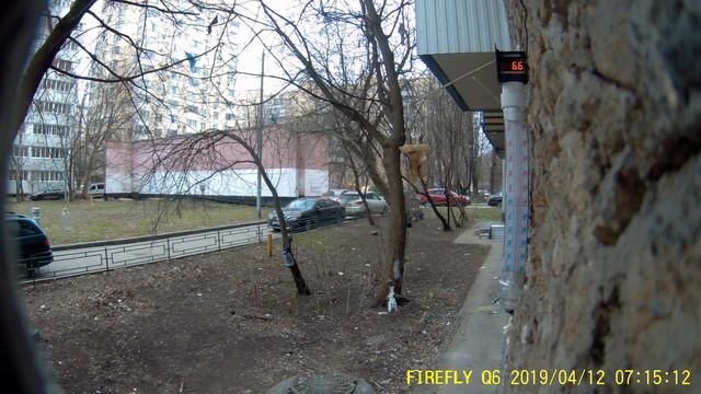 Под окном 2019 апр 12 белка 02 живность смотреть онлайн
