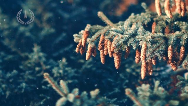 Зима... смотреть онлайн