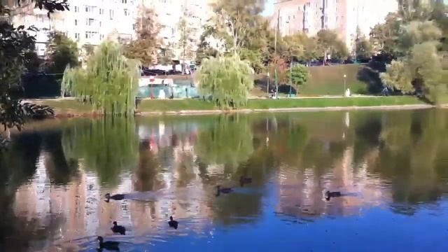 Кормим воробьев смотреть онлайн
