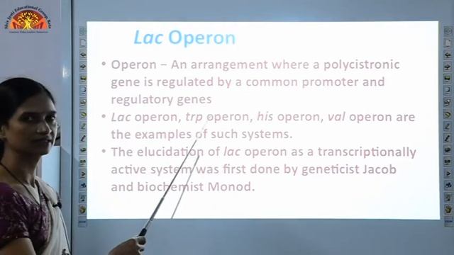 Class 12 Boilogy Ch 6 Molecular Basis of Inherilance{ Part 3} смотреть онлайн