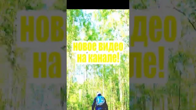 Грязь, песок и вода #shorts #atv #квадроциклы смотреть онлайн