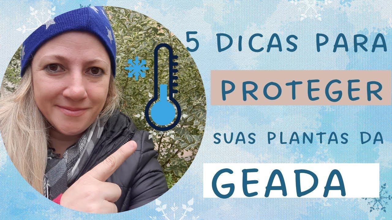 Como proteger as plantas da GEADA/FRIO смотреть онлайн
