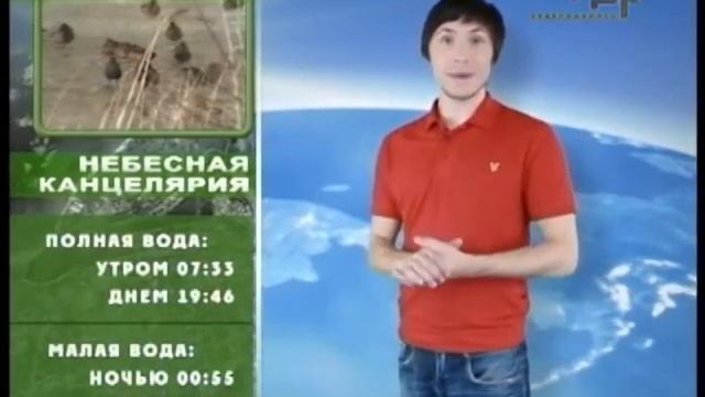 НЕБЕСНАЯ КАНЦЕЛЯРИЯ С АЛЕКСАНДРОМ АЗАРНЫМ 08.08.13 смотреть онлайн