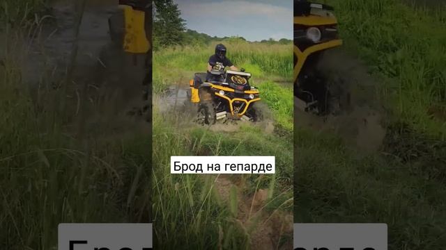 Брод на гепарде смотреть онлайн