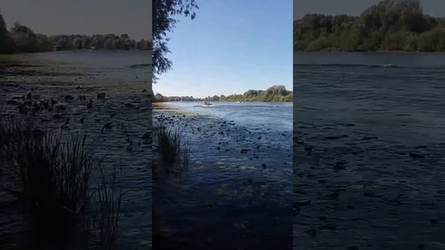 20220821 122703 смотреть онлайн