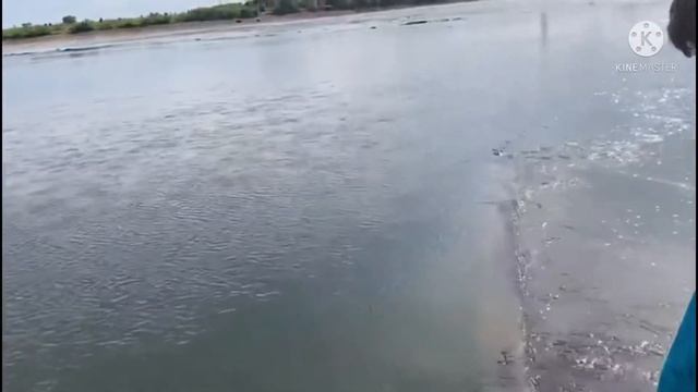 #поездкавгород Влог Поездка в лагерный сад￼￼⛲️ смотреть онлайн