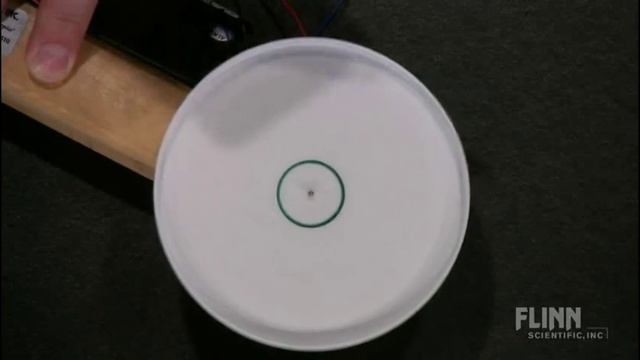 The Chromatography Centrifuge смотреть онлайн