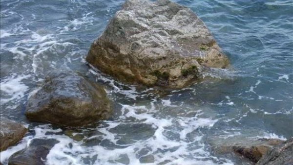 В гробу карманов нету - Сергиус Мион Sergius Mion