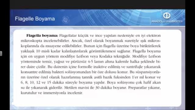 TEMEL VETERİNER MİKROBİYOLOJİ İMMÜNOLOJİ - Ünite5 Özet смотреть онлайн