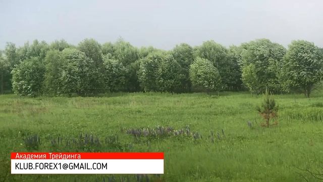 ПРИЯТНОГО ОТДЫХА! смотреть онлайн