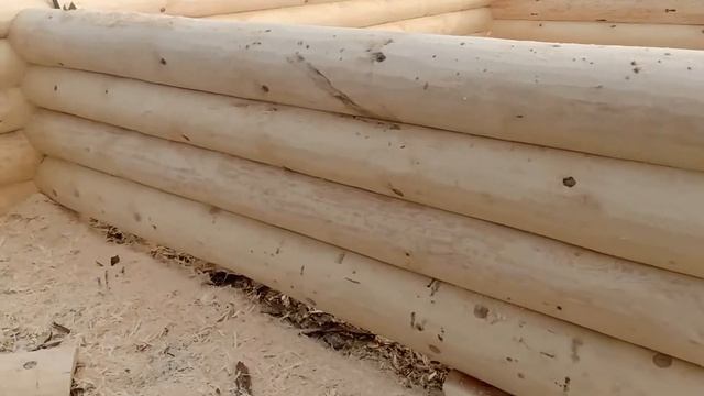 Производство сруба 6 на 8 в чашу по индивидуальному проекту смотреть онлайн