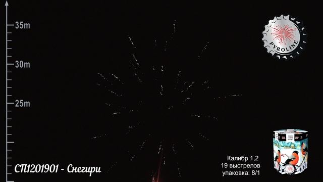 СП1201901 - Снегири