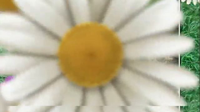 Привет, лучи солнца смотреть онлайн
