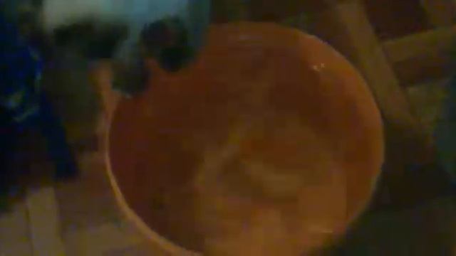 Тима проверяет качество воды смотреть онлайн