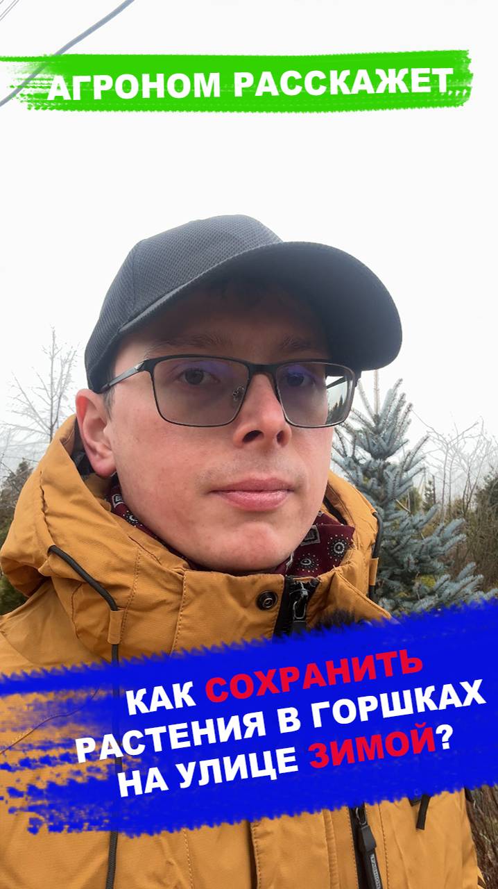 РАСТЕНИЯ В ГОРШКАХ ЗИМОЙ смотреть онлайн