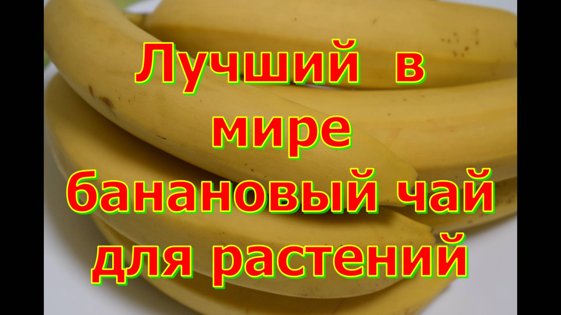 Банановый чай - лучшая натуральная подкормка для растений смотреть онлайн