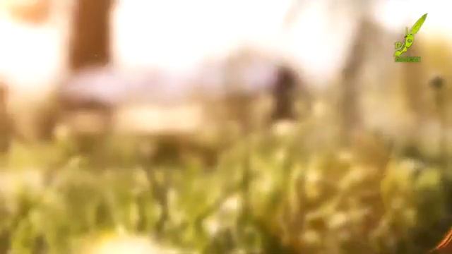 Оби ДИДАВУ ПУШАЙМОНИ | ТО БА КАЙ ОТАШУ ДУД | ЭЙ ЧАВОНОН БАС АСТ смотреть онлайн