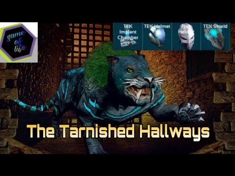 The Tarnished Hallways|New Dungeon|Ark Mobile смотреть онлайн