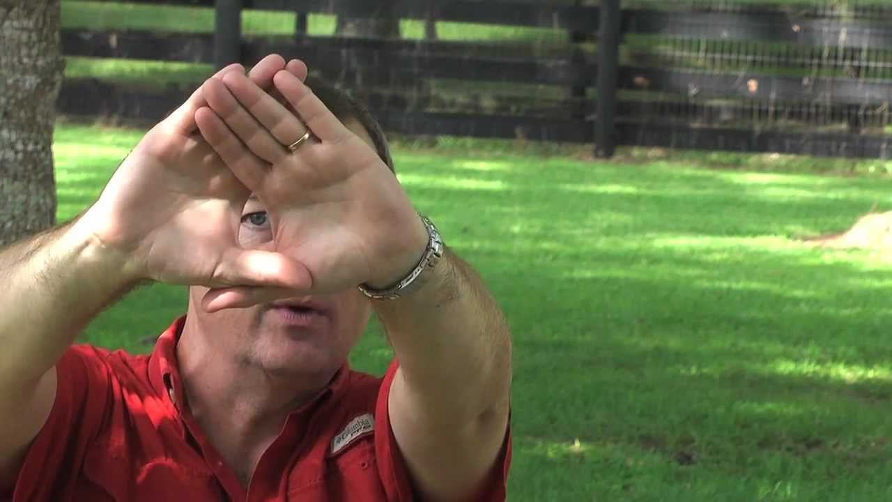 Photo Tip ~ Determine Your Dominant Eye for Shooting смотреть онлайн