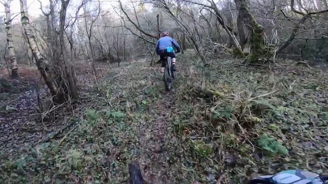 Pace RC295 radical trail MTB live ride review смотреть онлайн