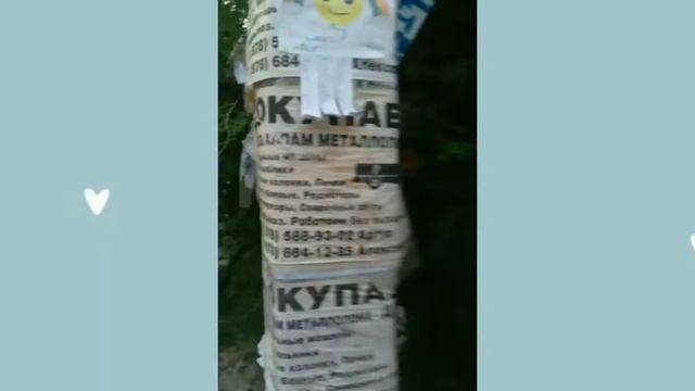 Социальный эксперимент "Листовки" Реакция людей смотреть онлайн