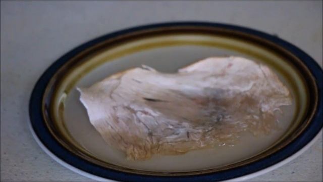 Freeze Dried Lunch Meat Taste Test смотреть онлайн