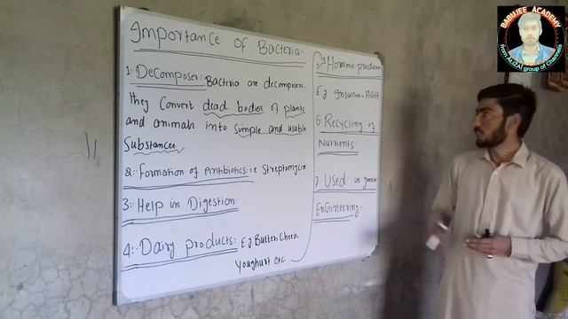 Bacteria ||importance of Bacteria ||Economic importance of Bacteria ||By ADIL ALIZAI смотреть онлайн