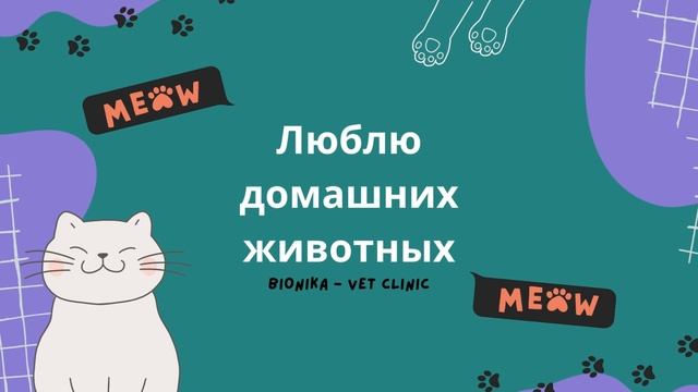 Заботливые ветеринары в Тбилиси - Клиника BioNika смотреть онлайн